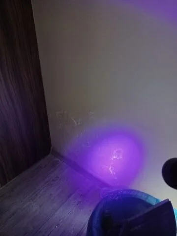 dzvygsig