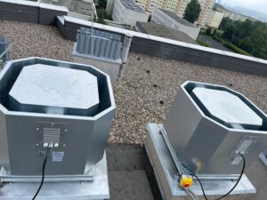 Zdjęcie WhatsApp 2024-07-11 o 17.07.50_3c366429