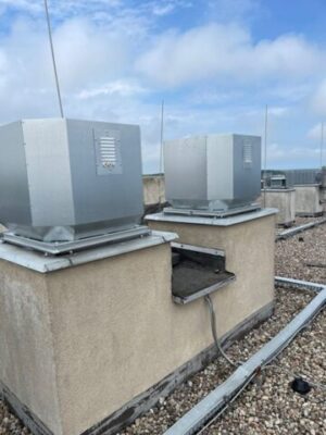 Zdjęcie WhatsApp 2024-07-11 o 17.07.50_a67dd89b