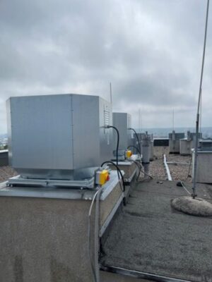 Zdjęcie WhatsApp 2024-07-11 o 17.07.50_f80db6c8