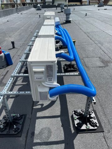 Zdjęcie WhatsApp 2024-07-18 o 08.24.11_9d2fecad