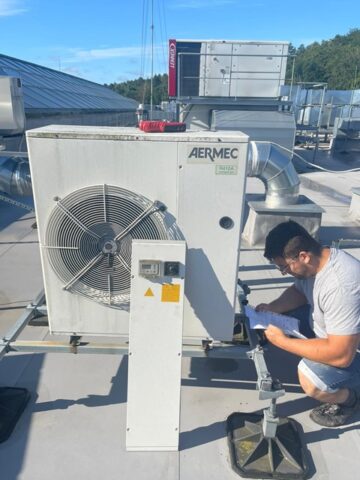 Zdjęcie WhatsApp 2024-07-30 o 21.02.10_bf881057